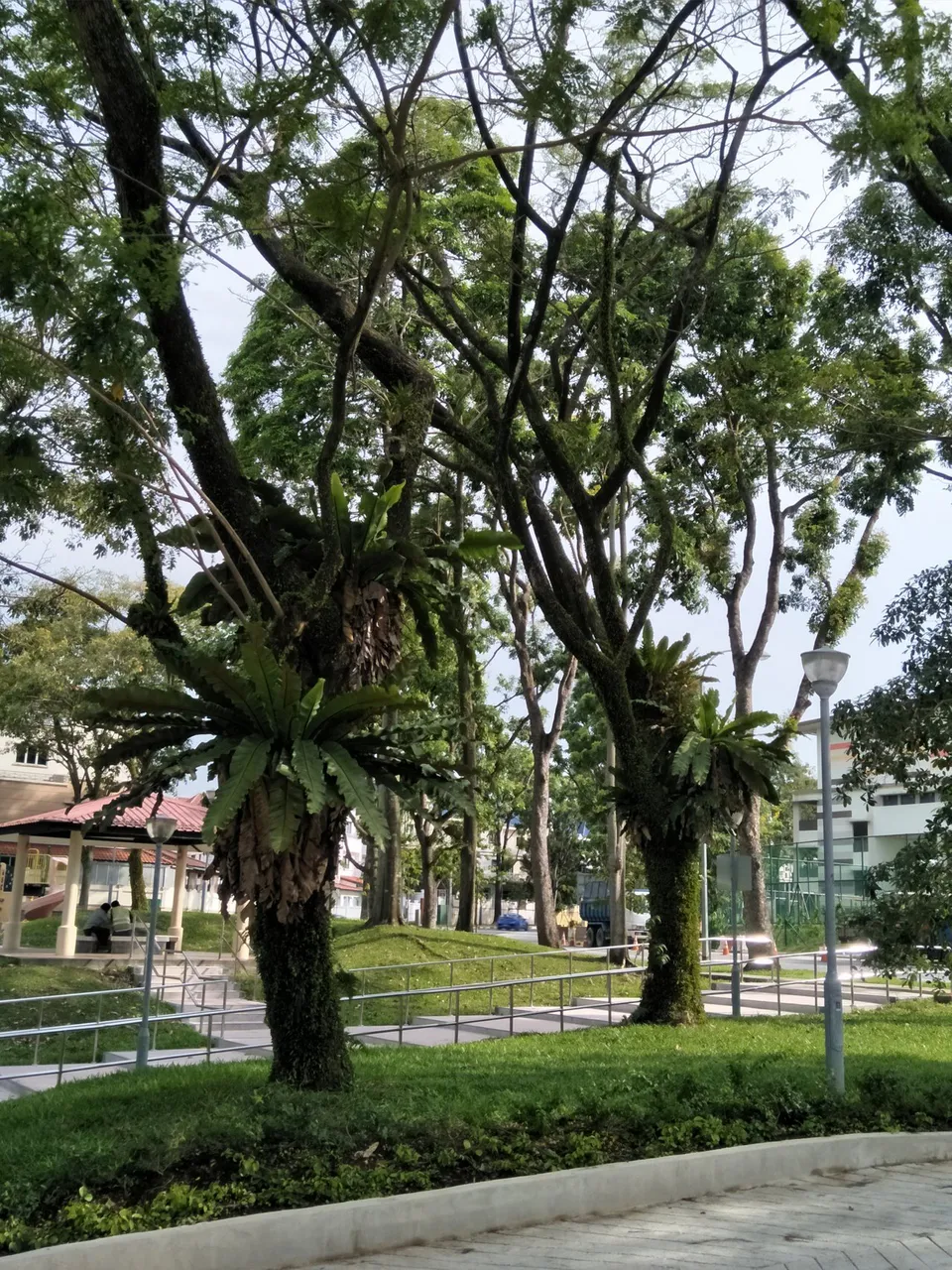 IMG20190511163700.jpg