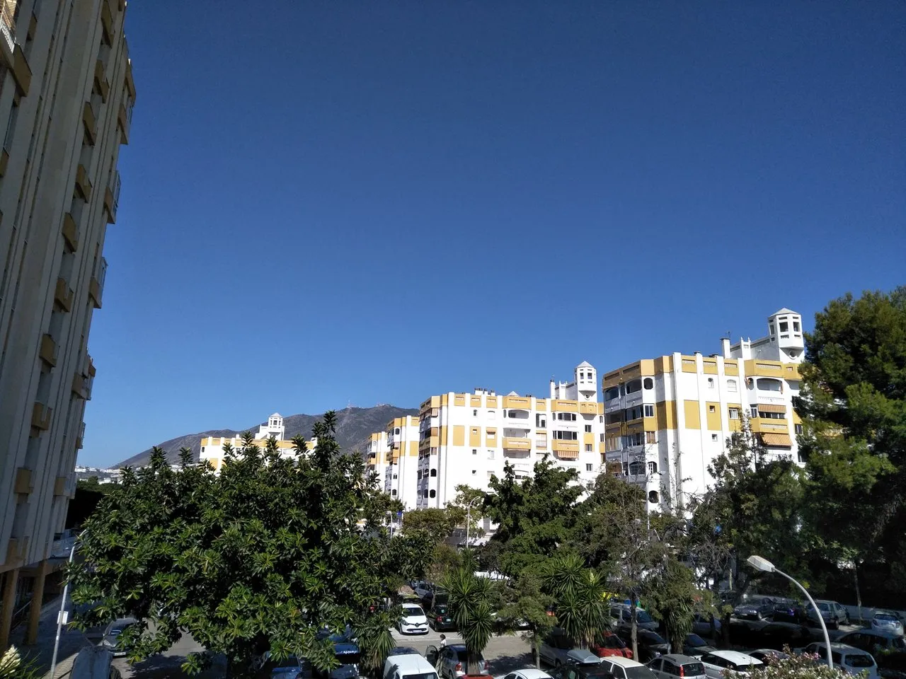 IMG20190729105530.jpg