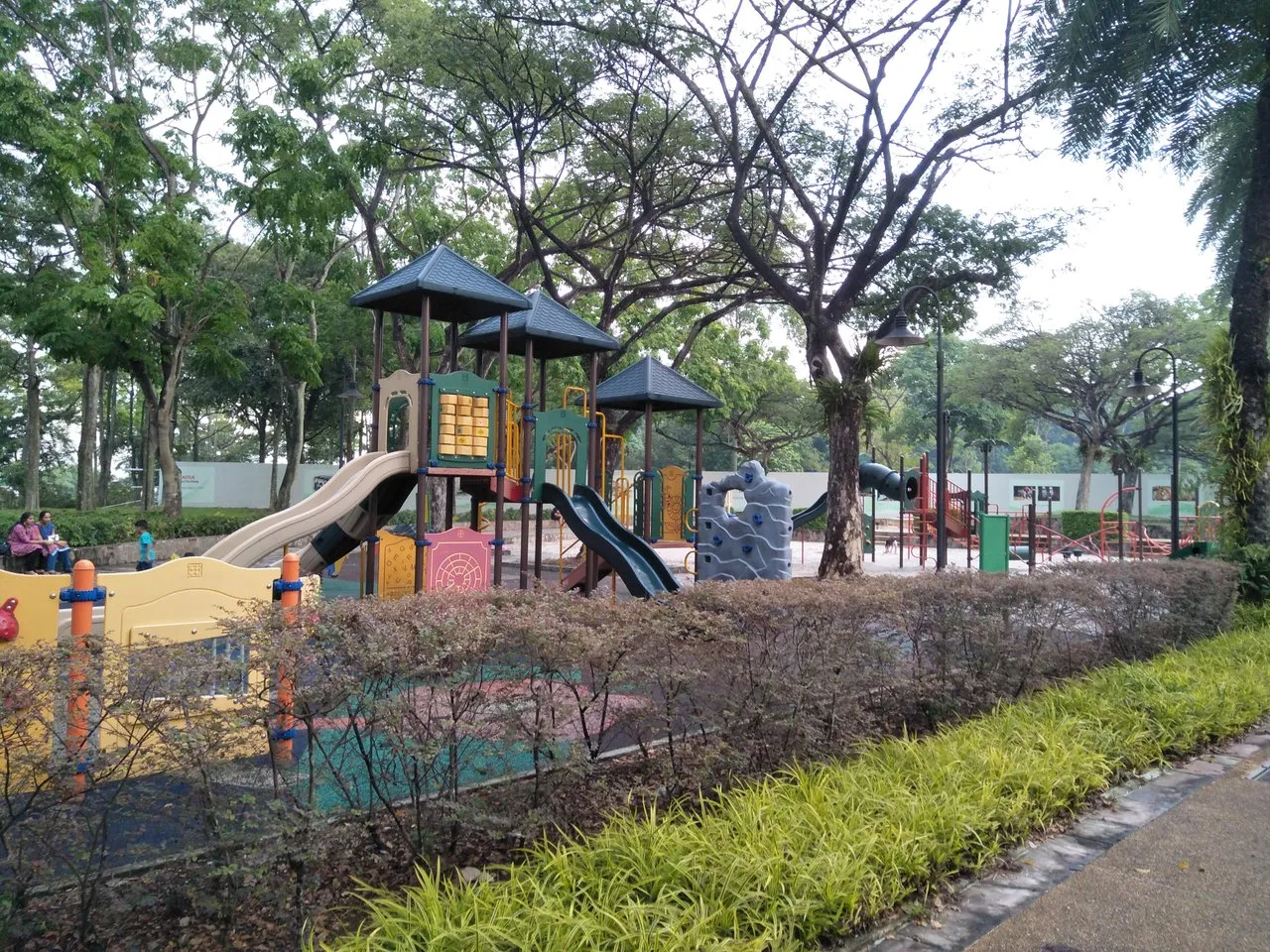 IMG20191012175504.jpg
