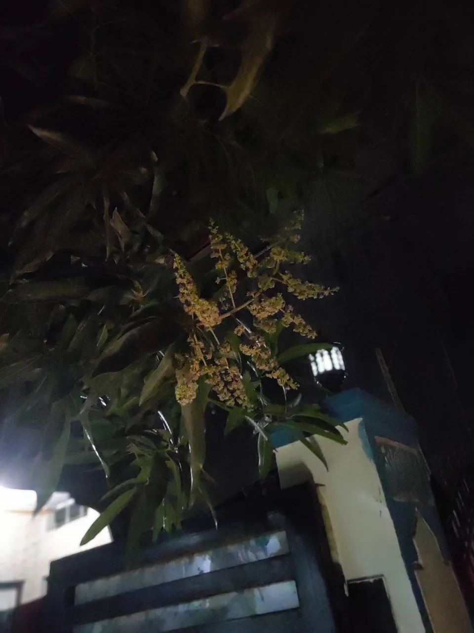 IMG_20211226_230737.jpg