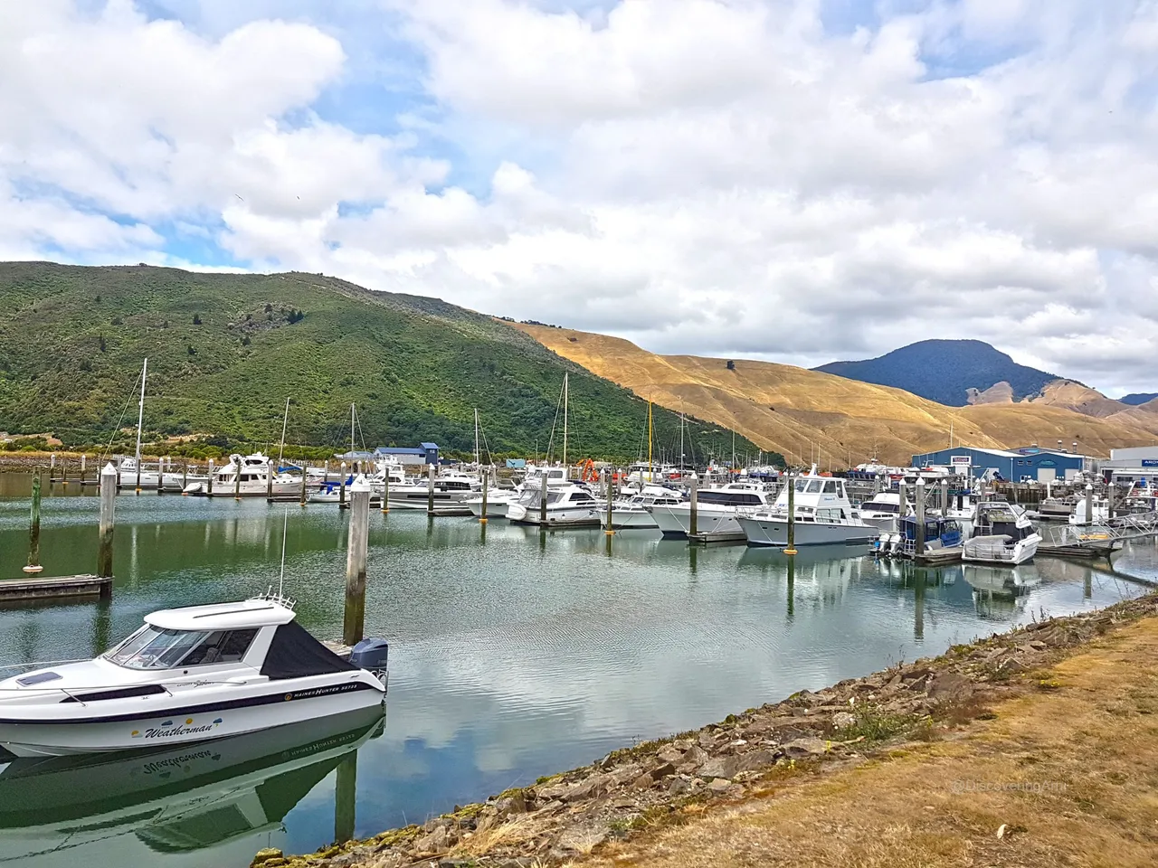 Charter Boats and Water Taxis, Havelock Marina