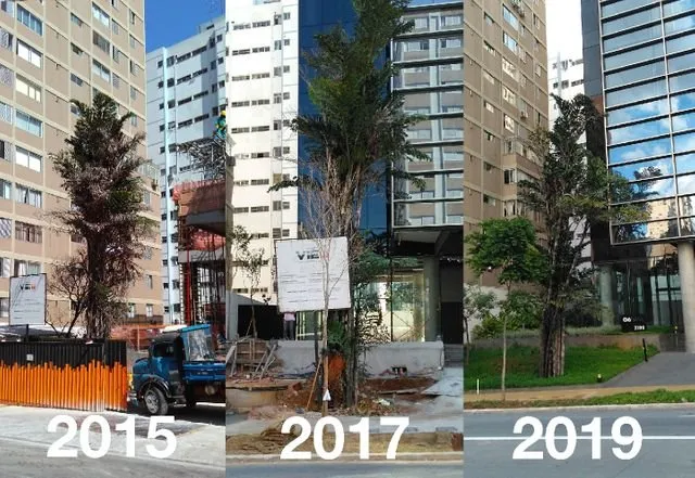 0a2b2b5a684f3c1b98d10cef4f5eb22c