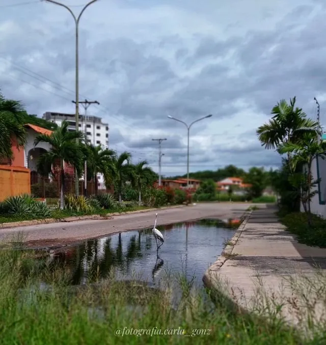 2df9b0d717f683b937a98362e3a755c1