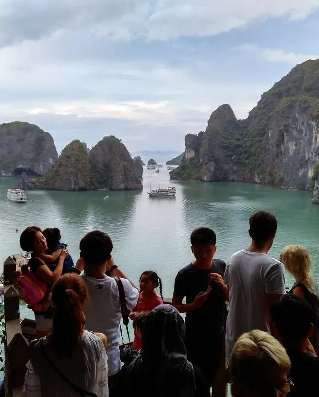 6ea79bf02e8a563c8cb6f88f7cddc9d4