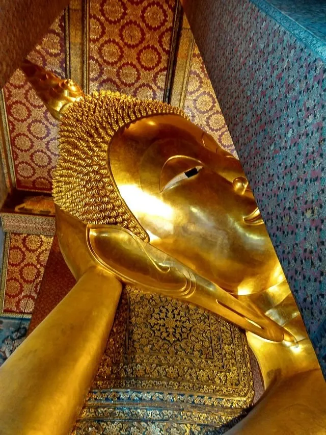 6ee7d30b7d2dc96ad915e7128a04a4d2