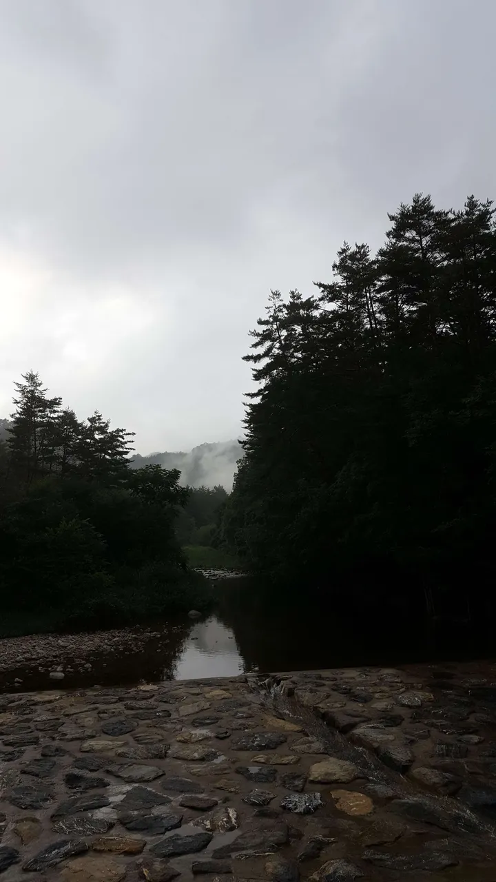 20180808_174011.jpg