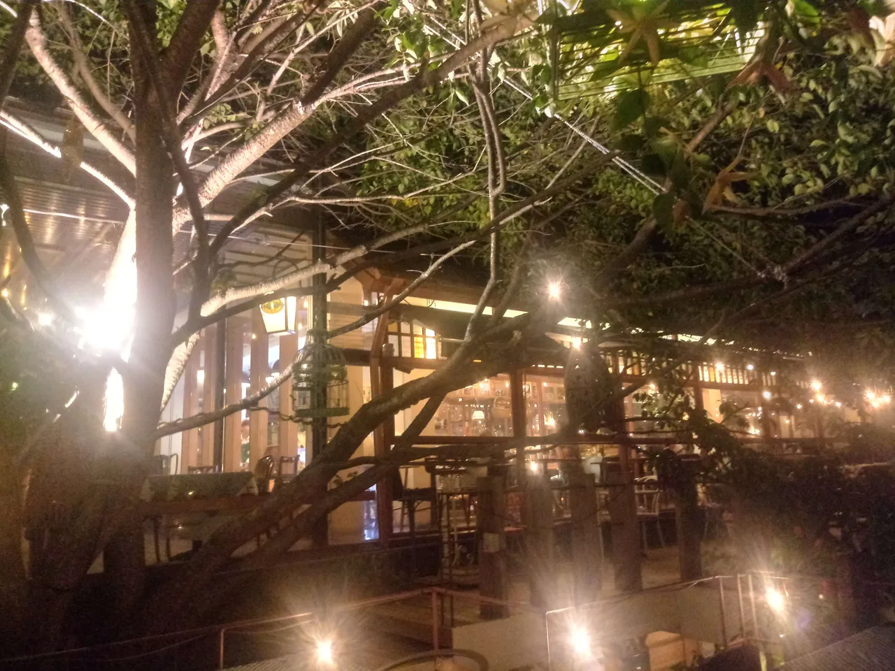 20180727_203526_HDR.jpg