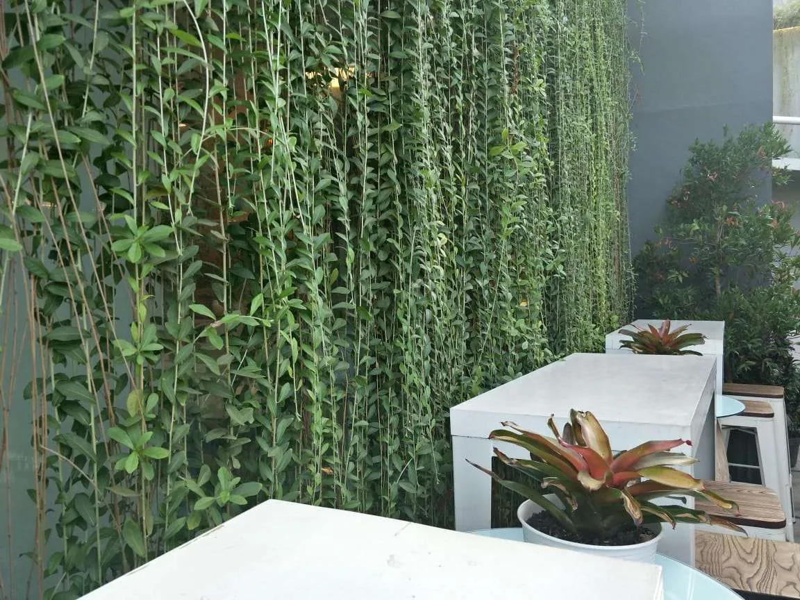 outdoor 2.jpg