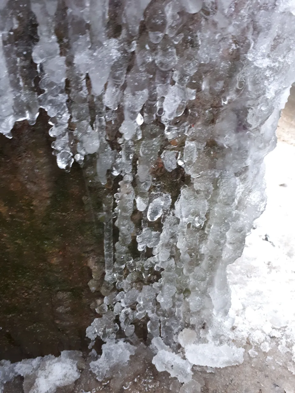 20180301_163143.jpg