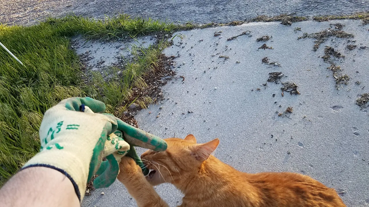20180514_201505.jpg