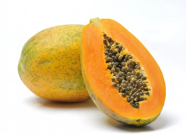 papaya1-768x552.jpg