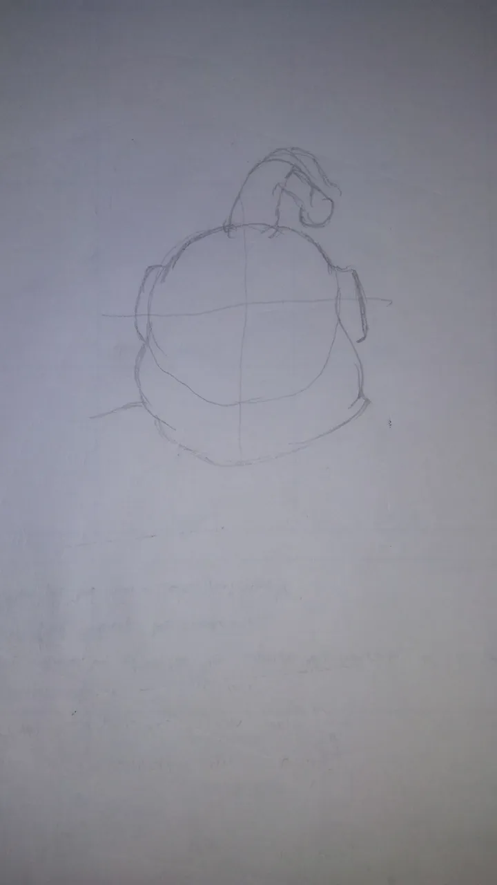 20180214_112613.jpg