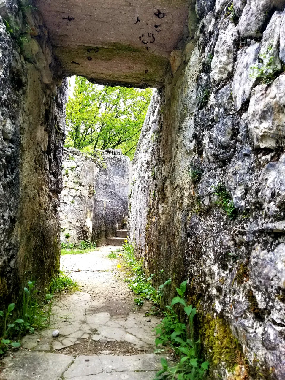 20180426_115947.jpg