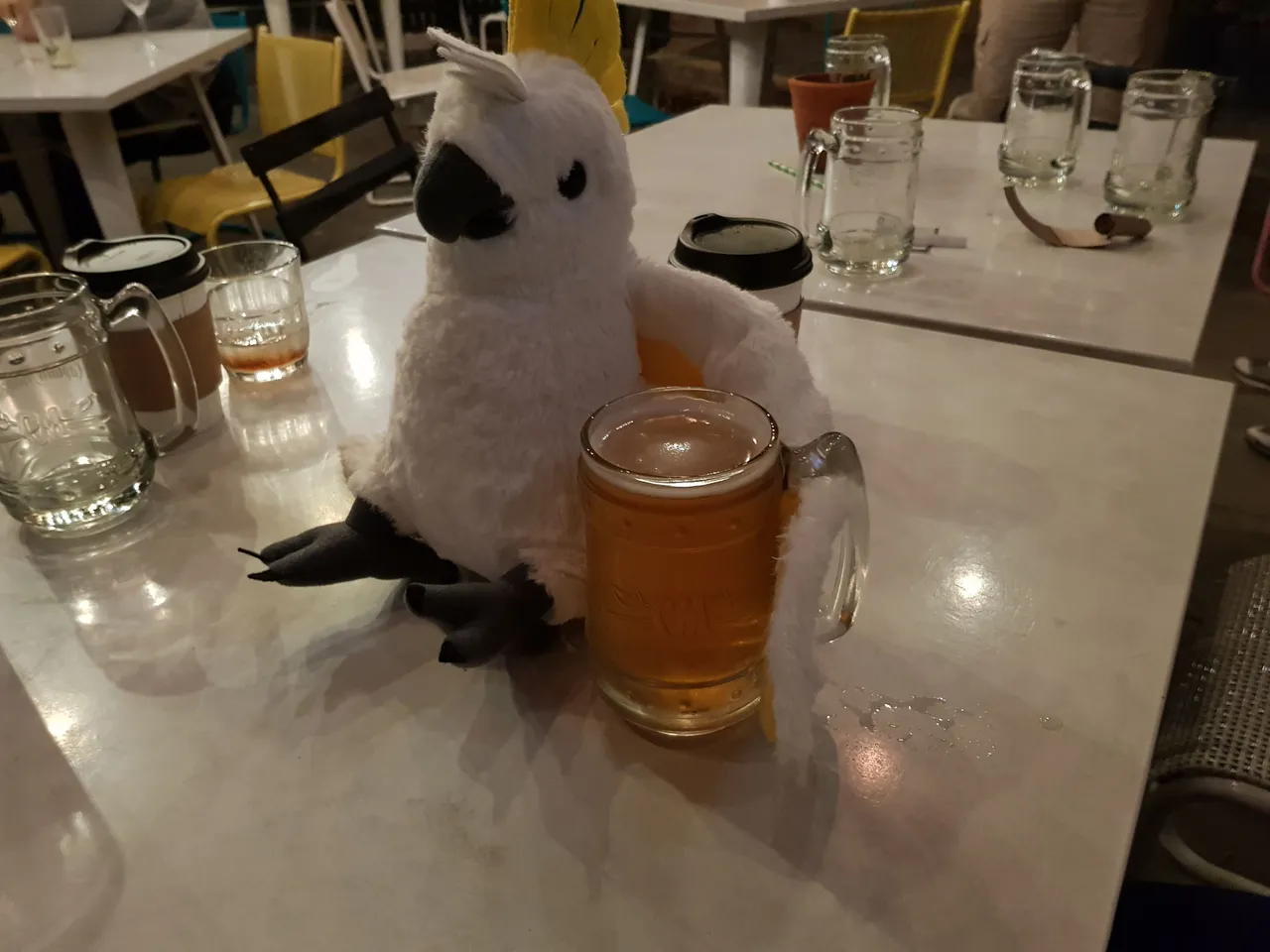 20180329_202220.jpg
