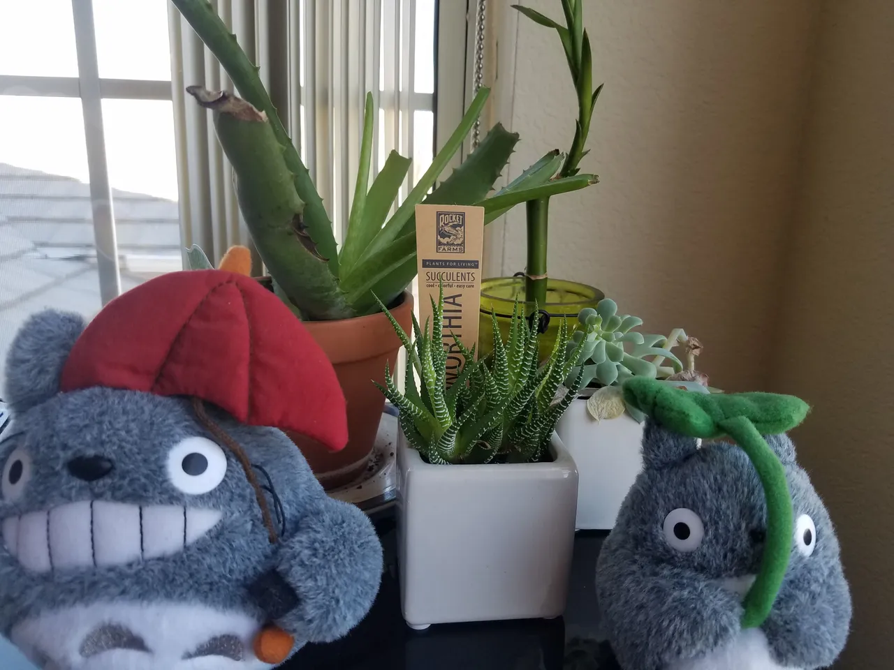 20171012_105926.jpg