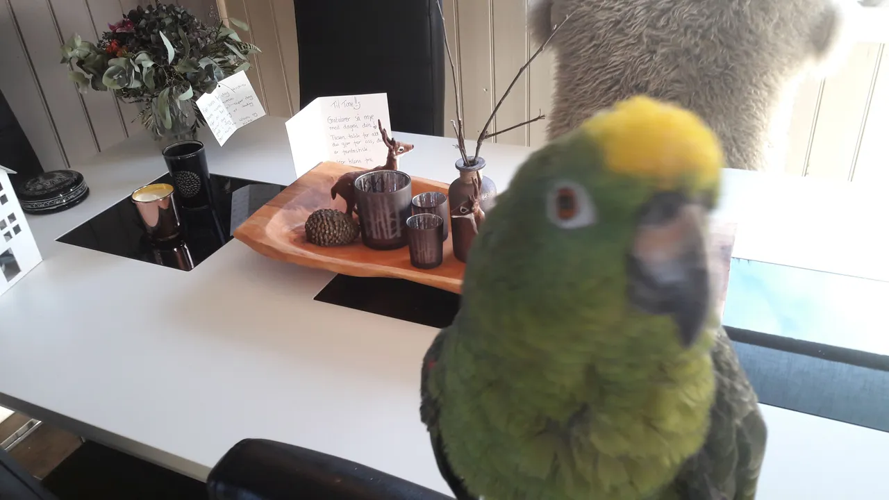 20171117_134645.jpg
