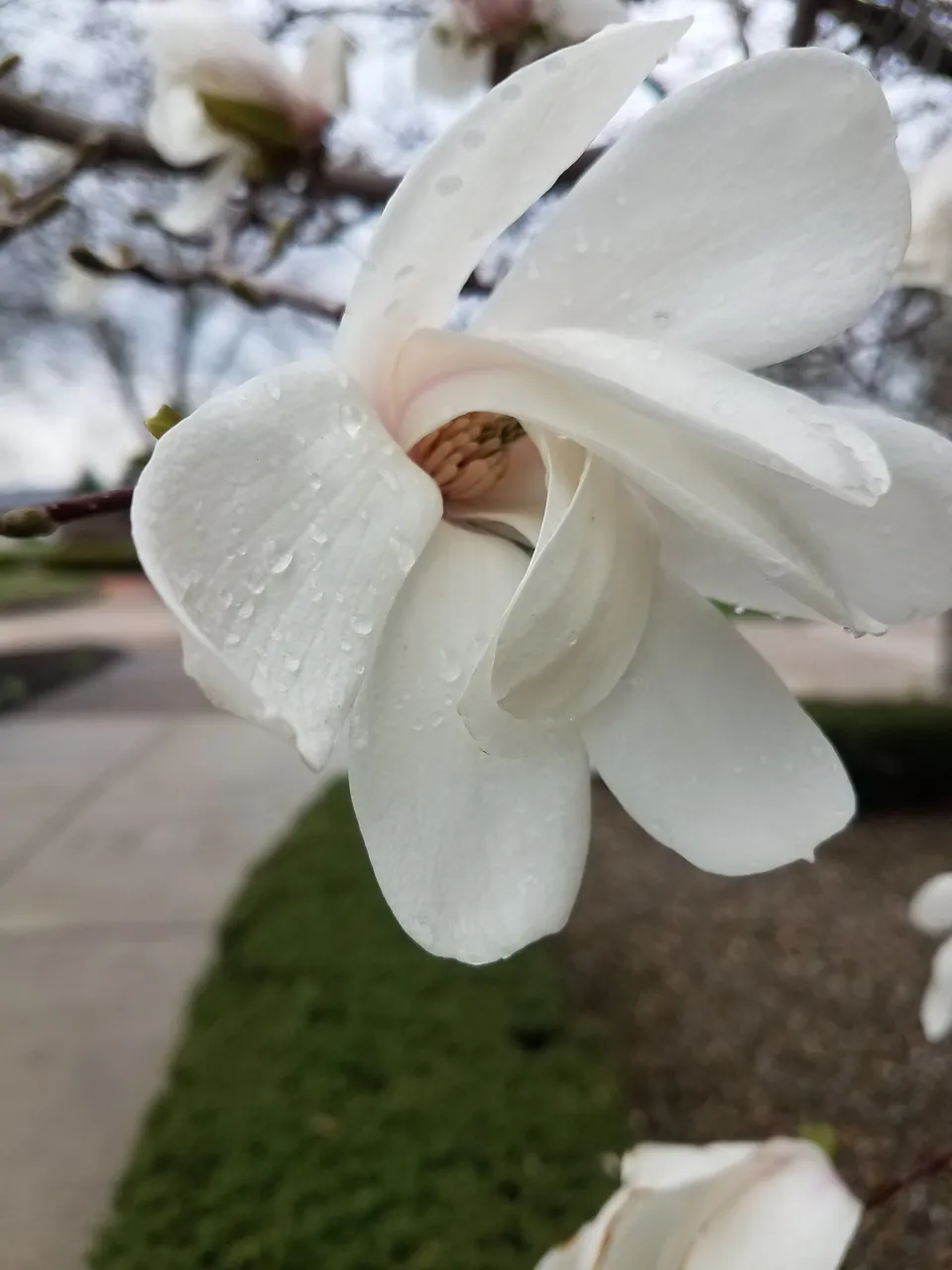 20180504_091740.jpg