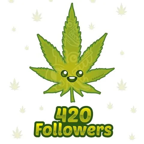 420 followers.jpg