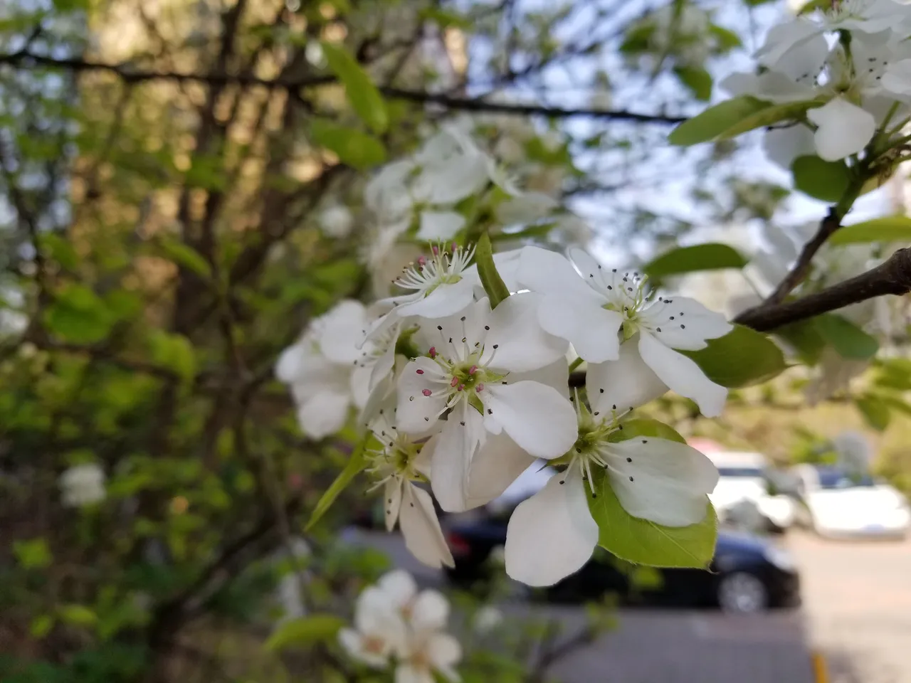 20180428_075339.jpg