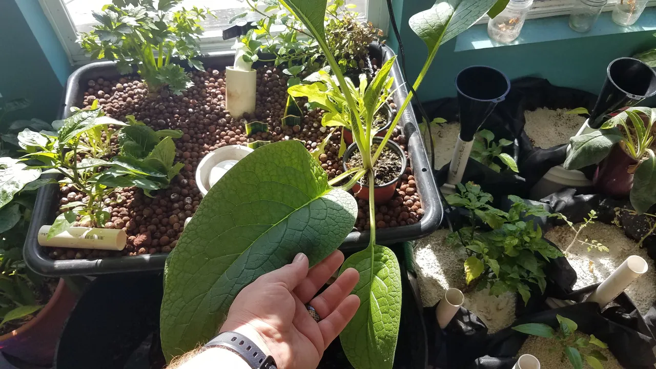 20180202_132223.jpg