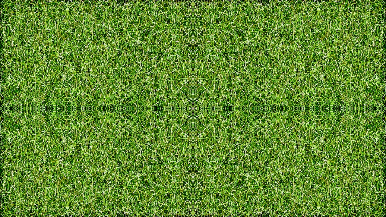 grass mandala.png