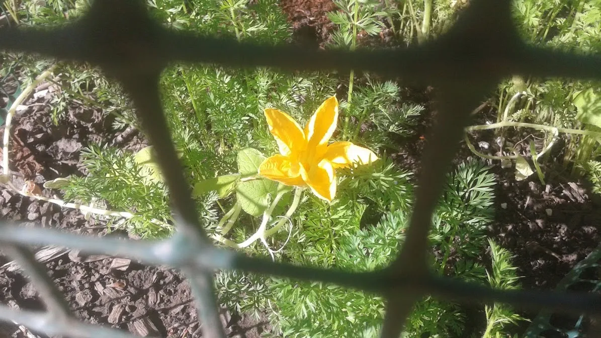 20180509_091142.jpg