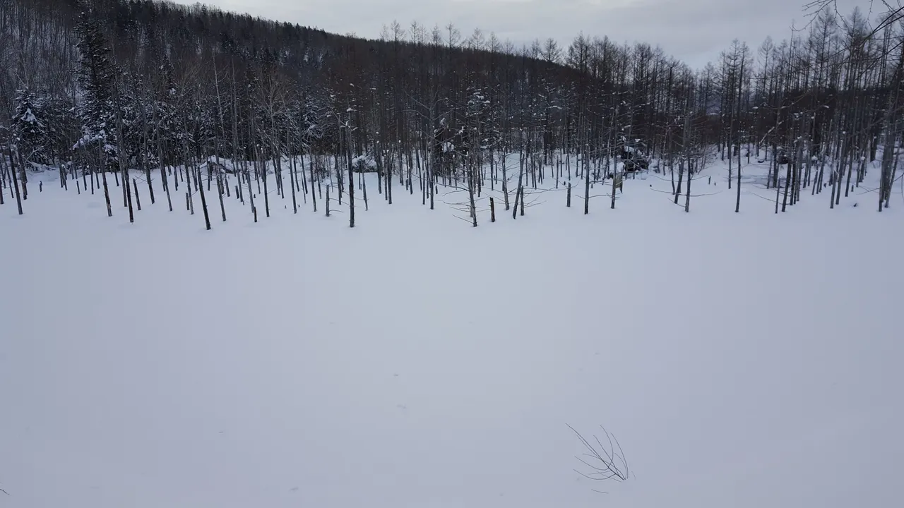 20180112_075707.jpg