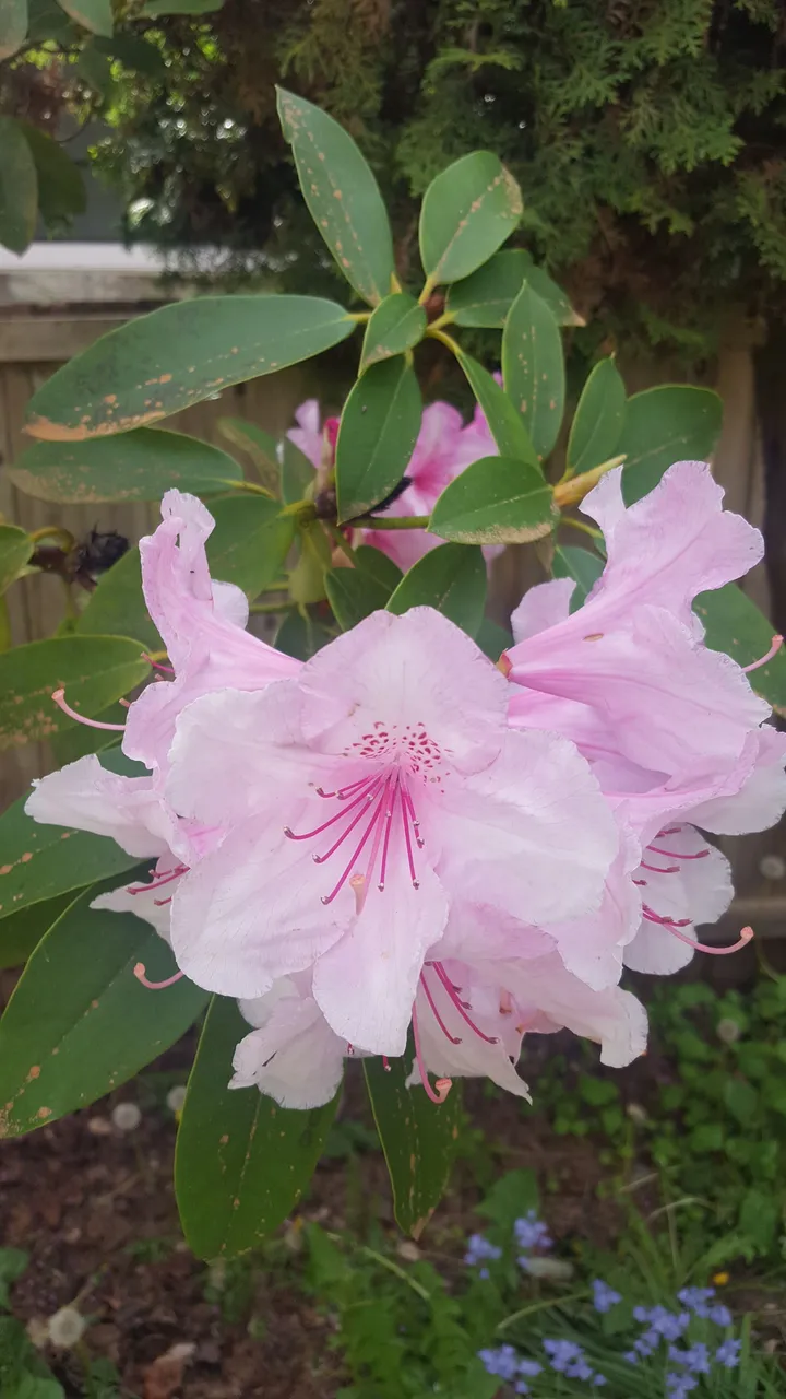 20180501_163556.jpg