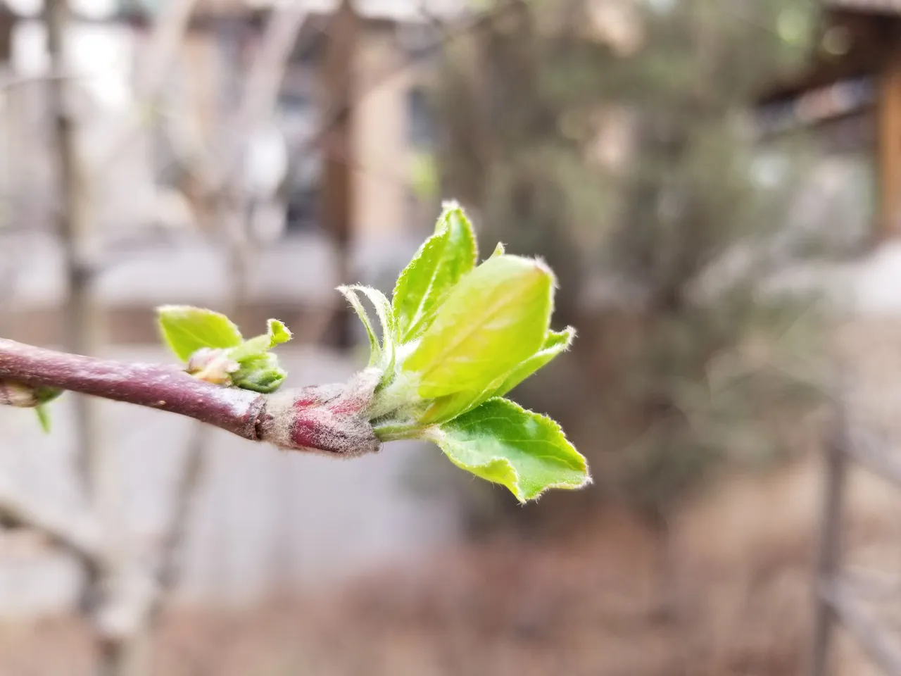 20180402_074309.jpg