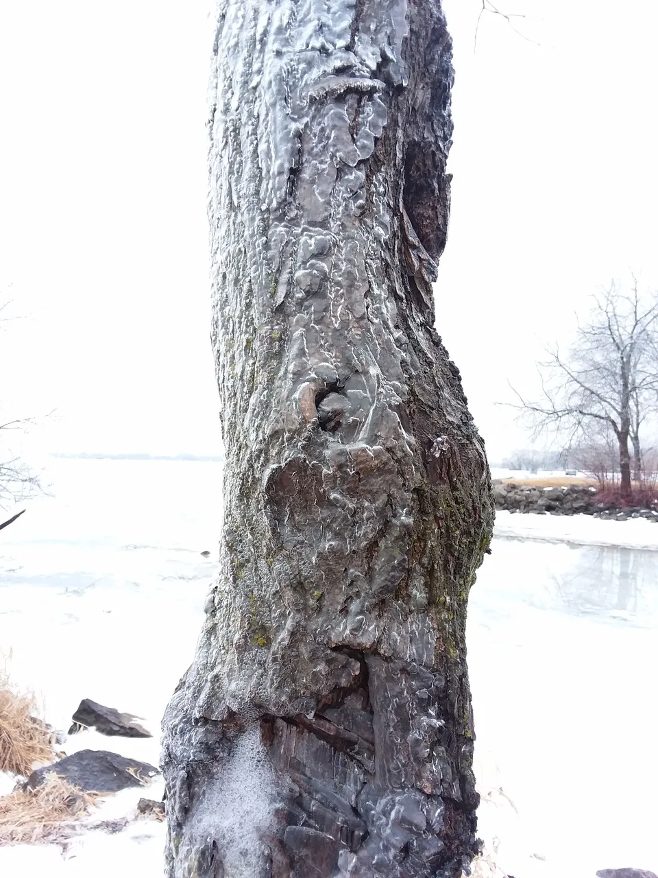 20180220_110440.jpg
