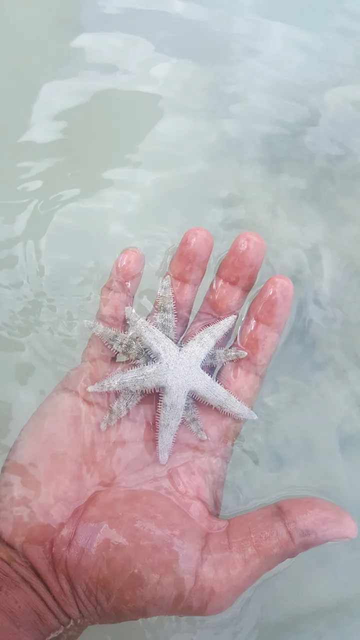 20180330_135655.jpg
