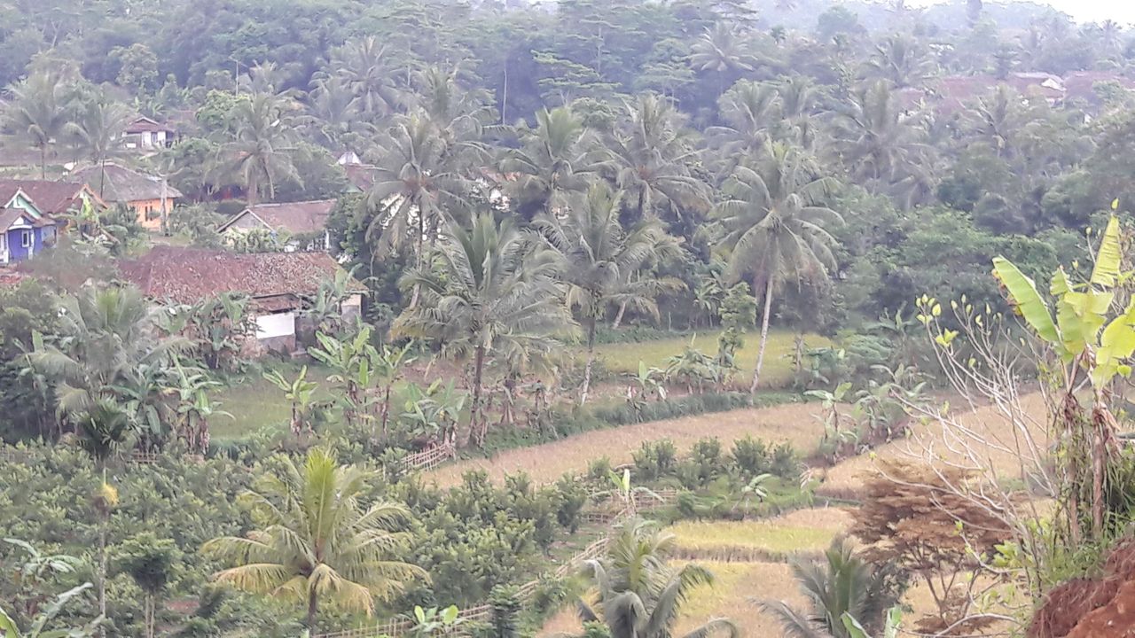 20170628_163330.jpg