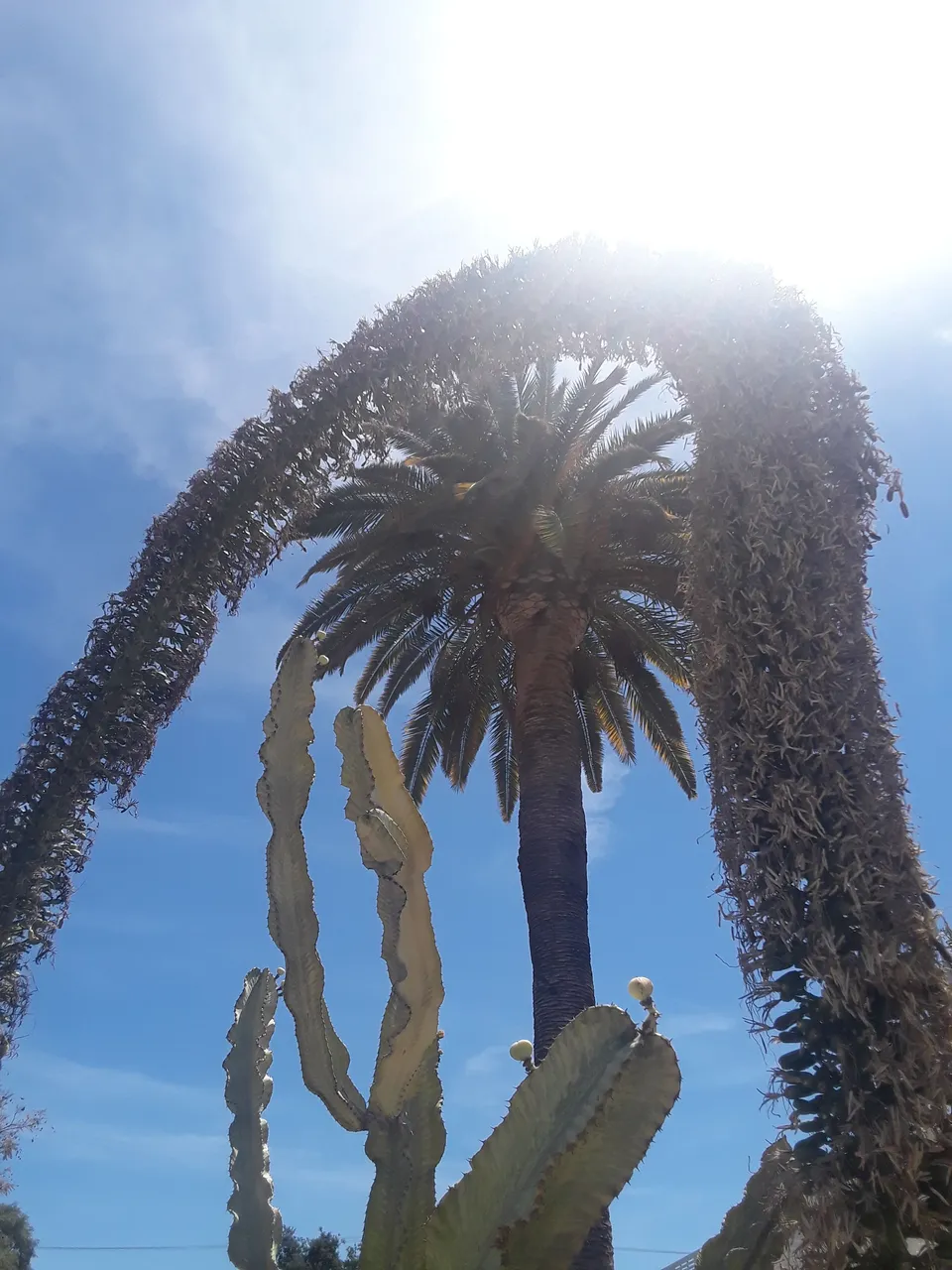 20180504_114246.jpg
