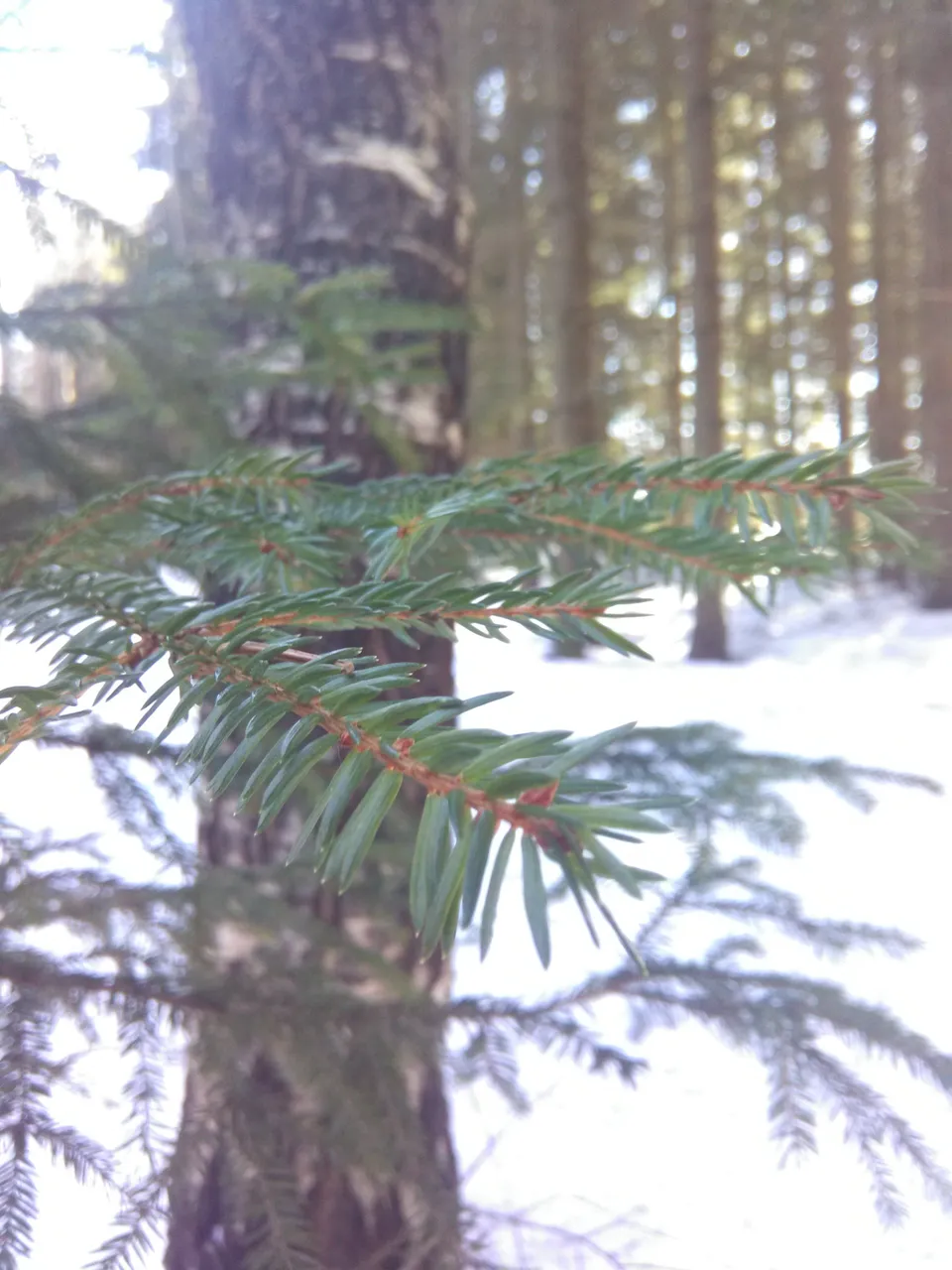 20180326_112420.jpg