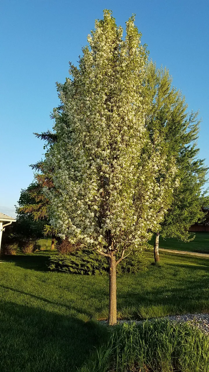 20180514_201529.jpg