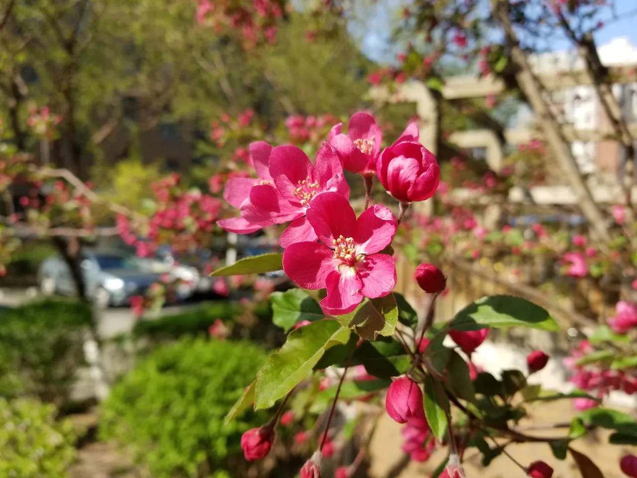 20180428_075612.jpg