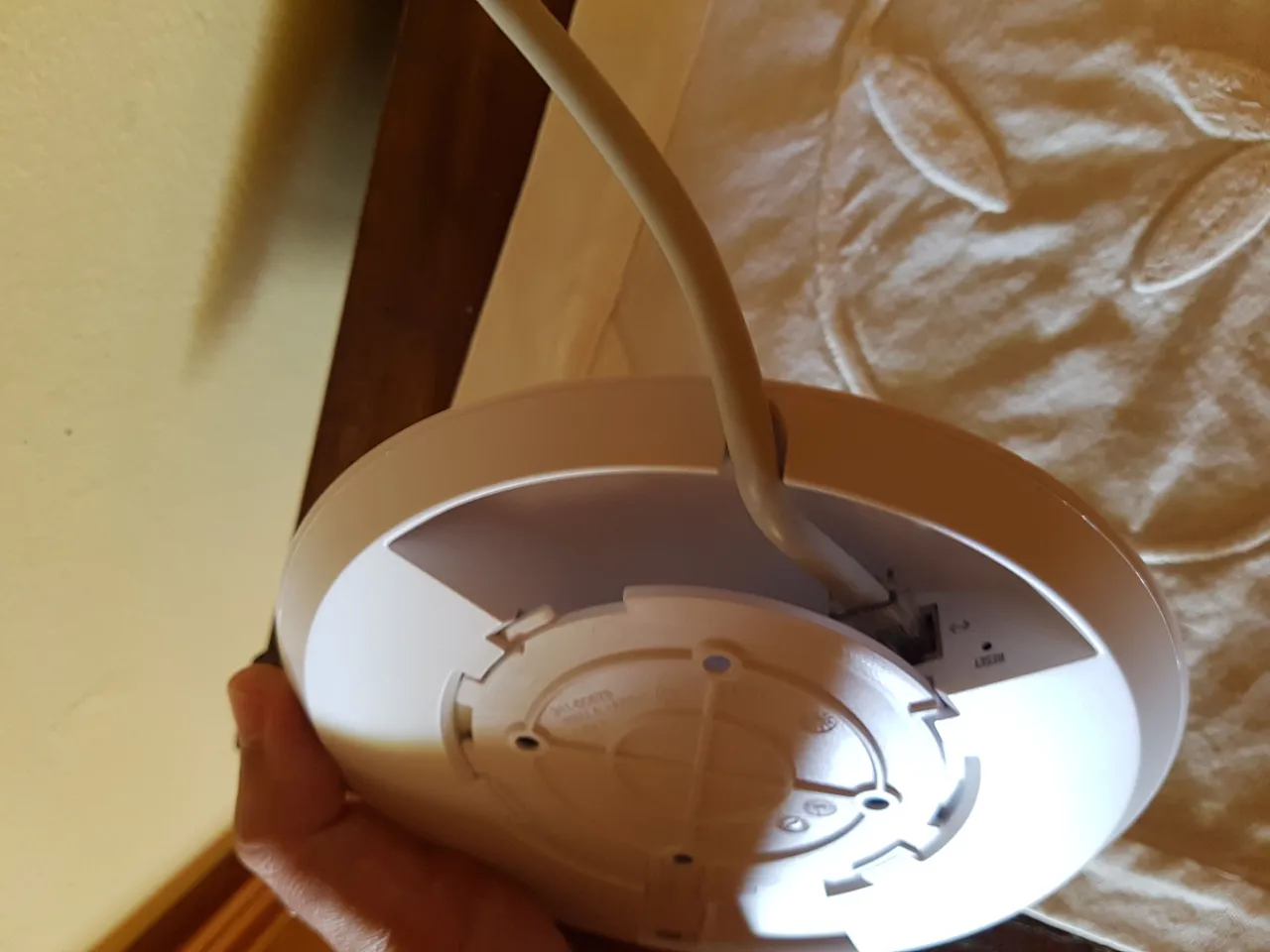 20170731_144125.jpg