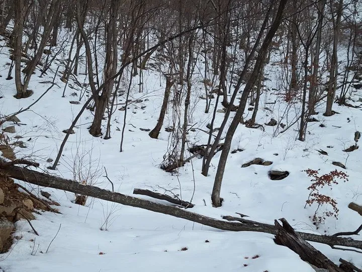 20180226_072018.jpg