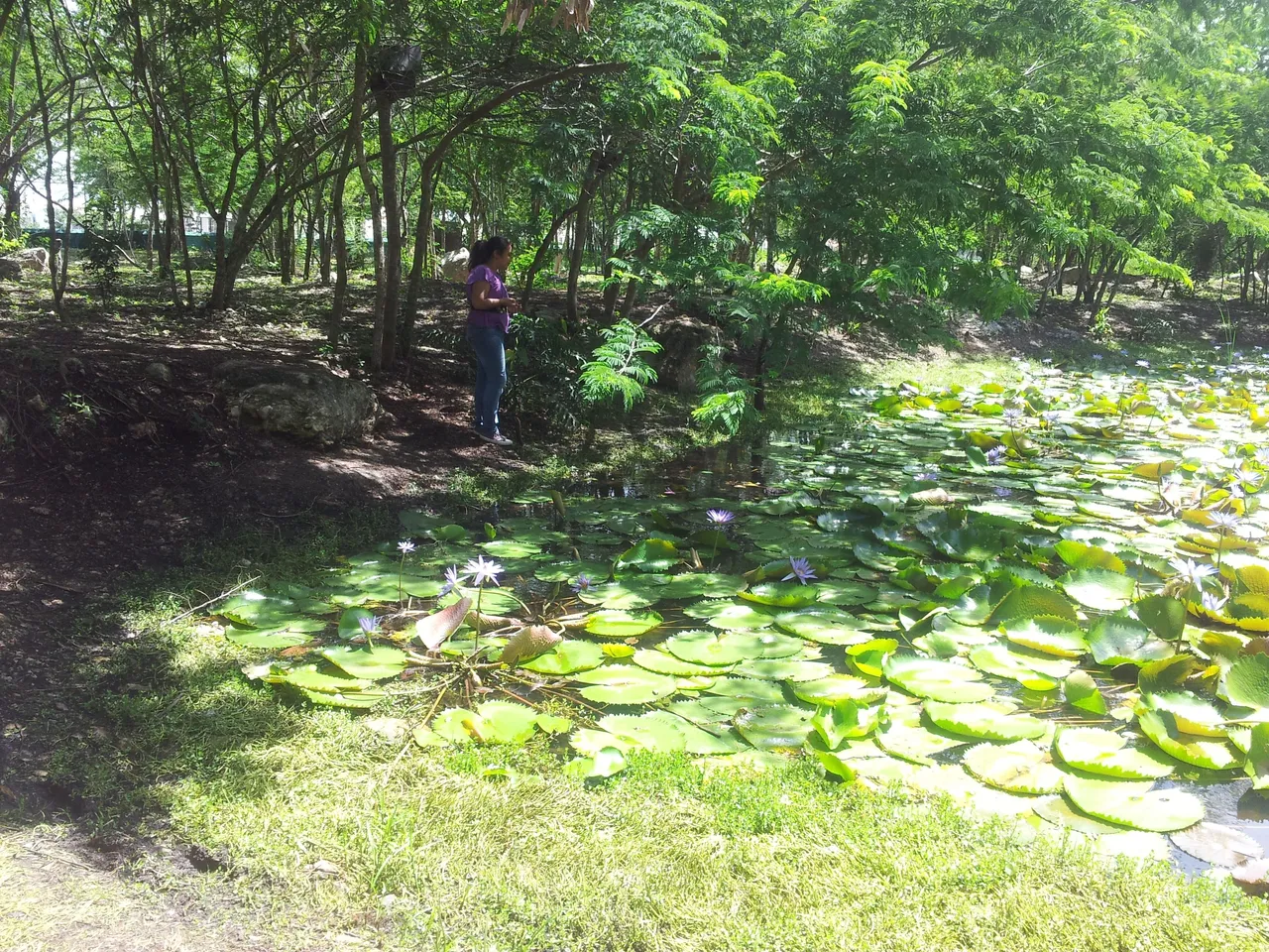 20120818_111411.jpg