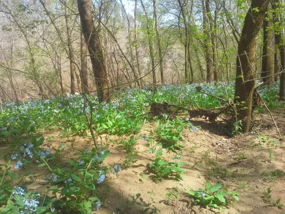 20150412_152145.jpg