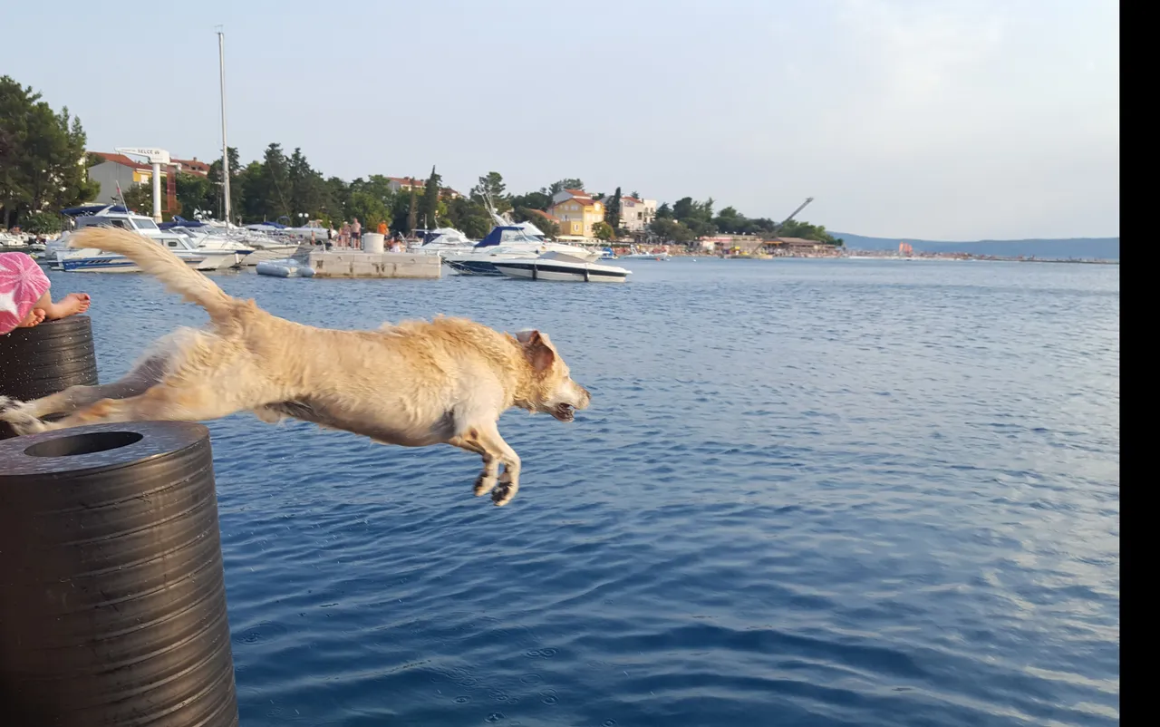 20170806_205857.jpg