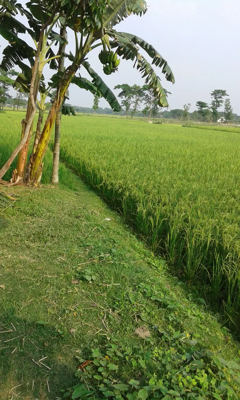 20180409_160426.jpg