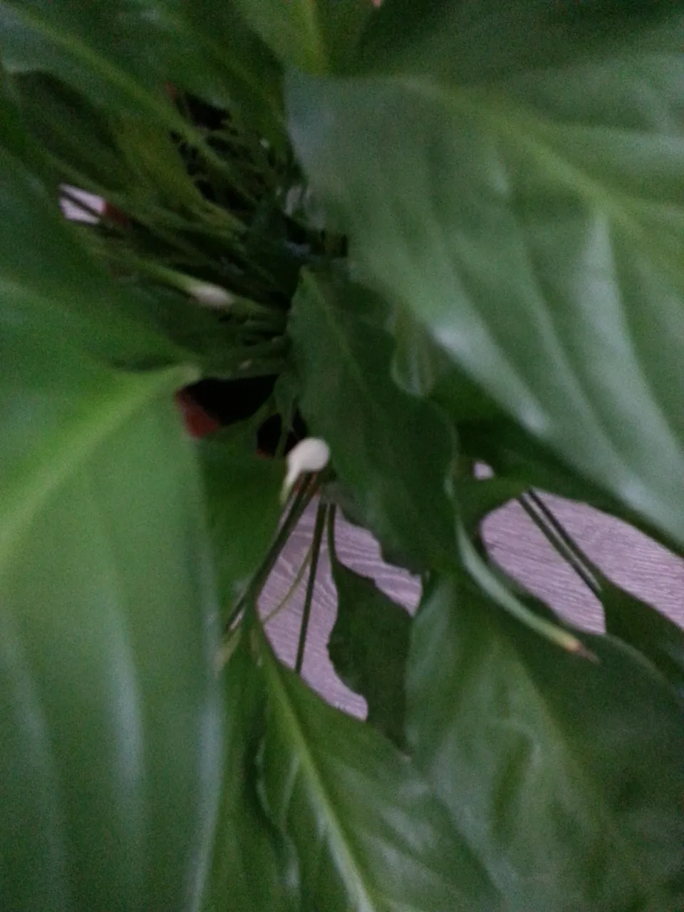 20180409_114155.jpg