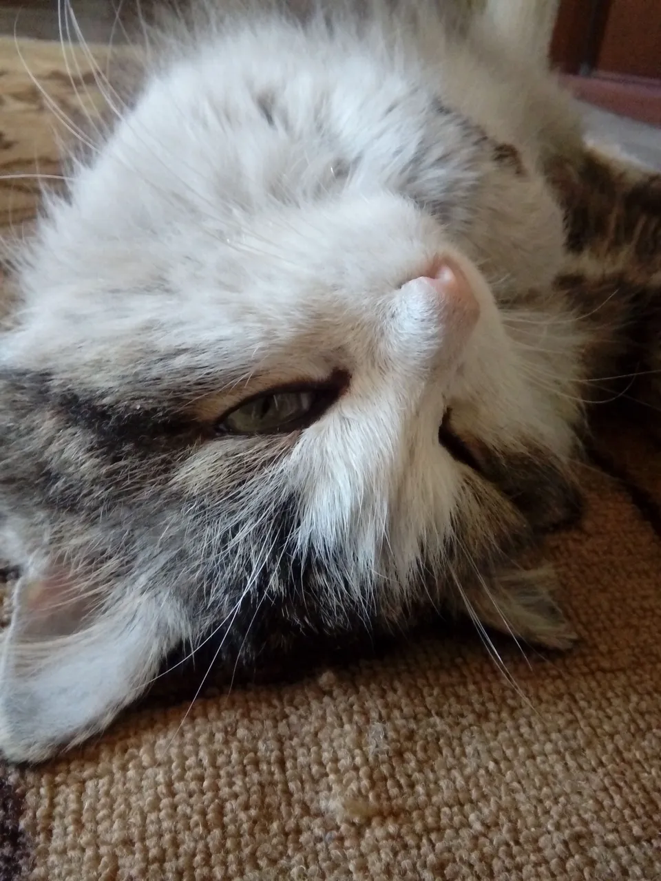 20180331_174728.jpg