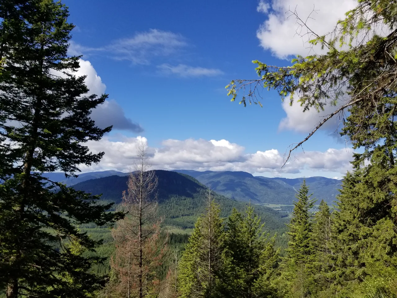 20170611_085956.jpg