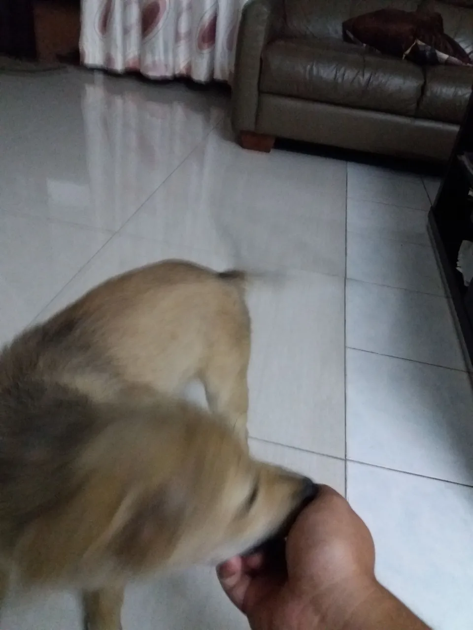 20180224_004710.jpg