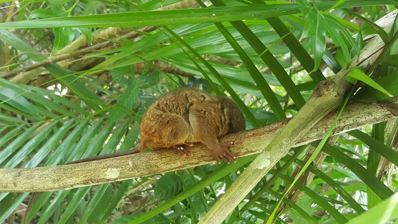 20180329_145246.jpg