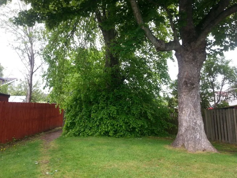 20170521_103628.jpg