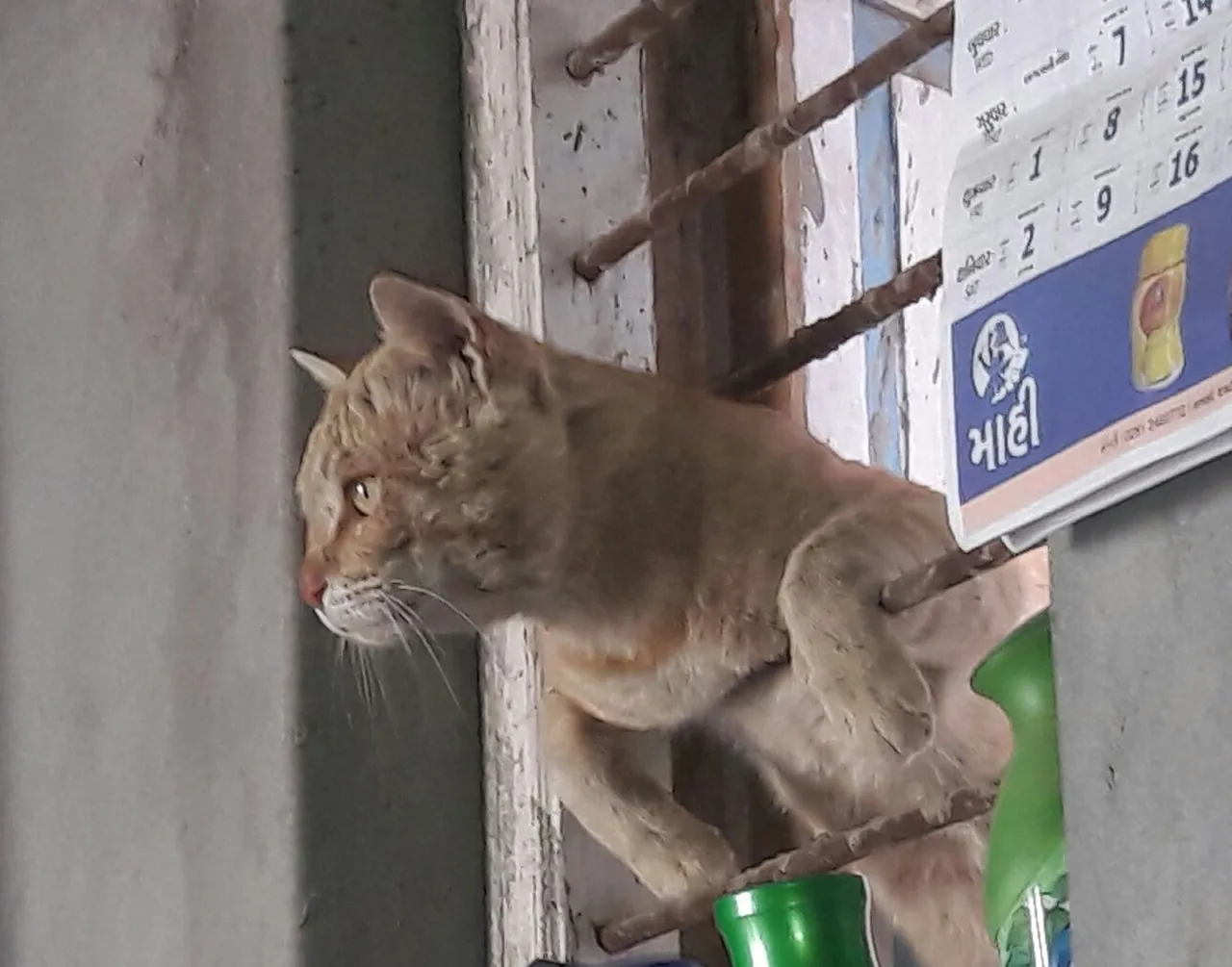 20180212_083129.jpg