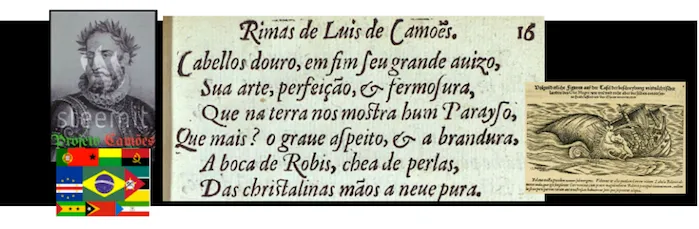 camoes_footer01.png
